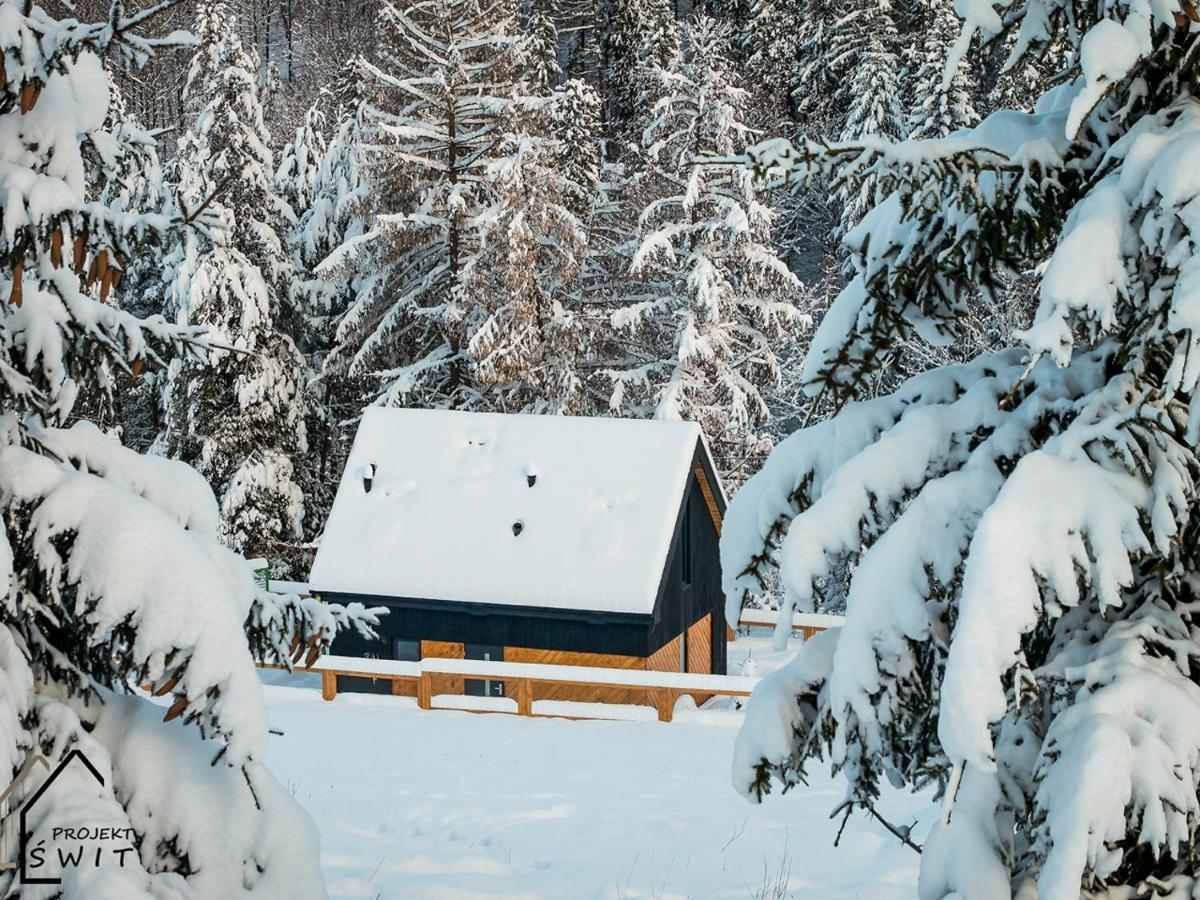 Projekt Swit - Domki Z Prywatna Jacuzzi I Sauna Żywiec Eksteriør bilde