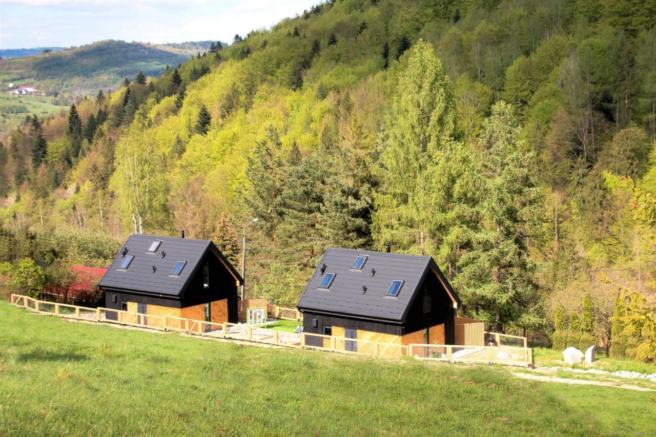 Projekt Swit - Domki Z Prywatna Jacuzzi I Sauna Żywiec Eksteriør bilde
